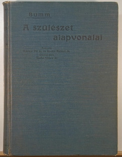 Dr. Bumm Ern - A szlszet alapvonalai