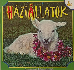 Hzillatok