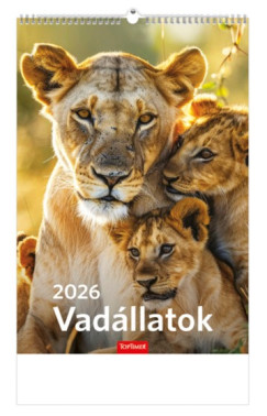 Vadállatok falinaptár 22x33 cm - 2026