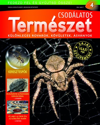 - Csodálatos természet 4.