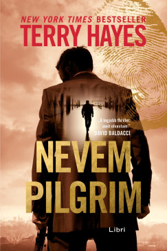 Terry Hayes - Nevem Pilgrim
