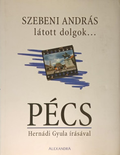Hernádi Gyula - Látott dolgok... Pécs