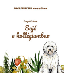 Szegedi Istv�n - Saj� a koll�giumban