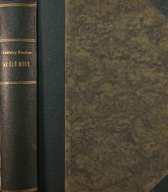 V�mb�ry Rusztem - Az �l� m�lt