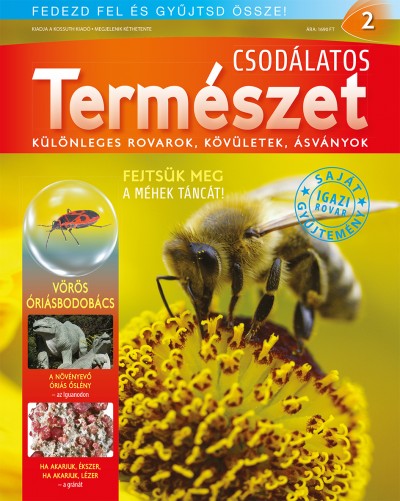 - Csodálatos természet 2.