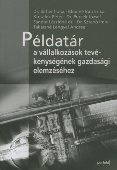 Dr. Birher Ilona - Blumné Bán Erika - Kresalek Péter - Dr. Pucsek József - Sándor Lászlóné - Dr. Sztanó Imre - Takácsné Lengyel Andrea - Példatár a vállalkozások tevékenységének gazdasági elemzéséhez