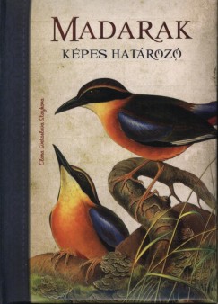 Clara Staykova Svetoslava - Madarak