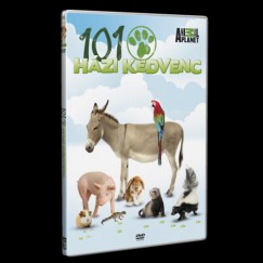 101 Házi kedvenc - DVD