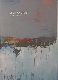 Cseh Andr�s - Mint amikor