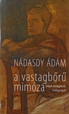 Ndasdy dm - A vastagbr mimza