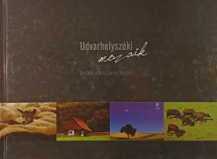 Udvarhelyszéki mozaik - An Udvarhely County Mosaic