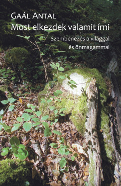 Gal Antal - Most elkezdek valamit rni
