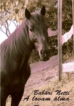 Bab�ri Netti - A lovam �lma