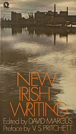 New Irish Writing