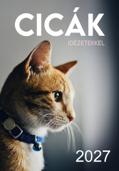 2027 Naptár - Cicák