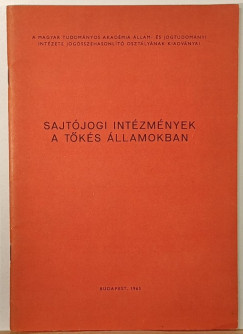 Sajt�jogi int�zm�nyek a t�k�s �llamokban