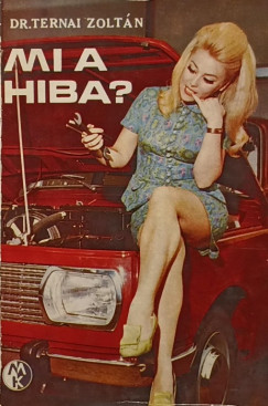 Ternai Zoltán - Mi a hiba?