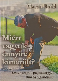 Martin Budd - Miért vagyok ennyire kimerült