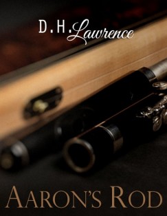 D. H. Lawrence - Aaron's Rod