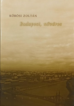 Kőrösi Zoltán - Budapest, nőváros