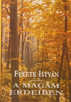 Fekete Istvn - A magam erdeiben