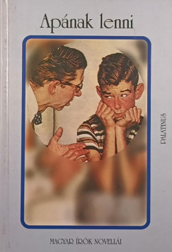 D. Szabó Mária (Összeáll.) - Apának lenni