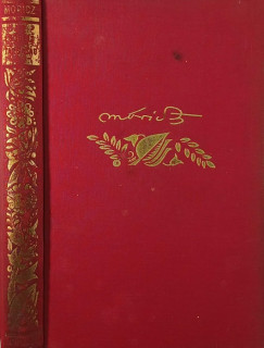 Móricz Zsigmond - Esőleső társaság