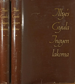 Illy�s Gyula - Ingyen lakoma 1-2.