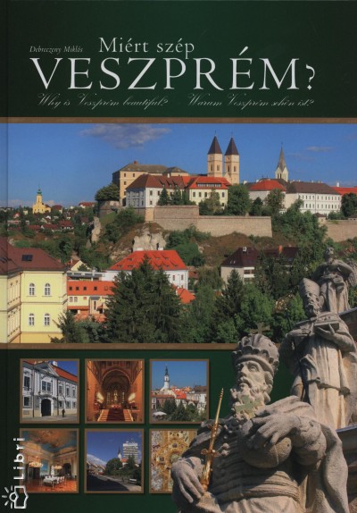 Debreczeny Miklós - Miért szép Veszprém?