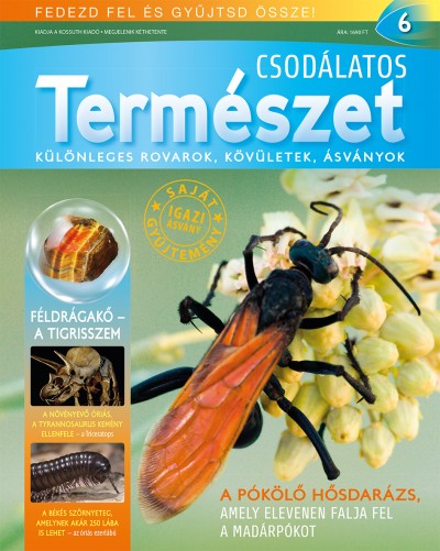 - Csodálatos természet 6.
