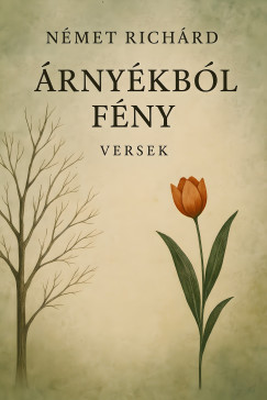 Német Richárd - Árnyékból fény