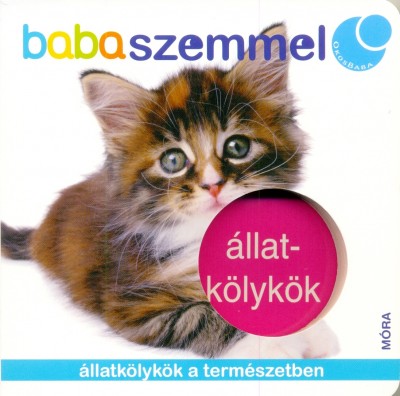 - Állatkölykök - babaszemmel