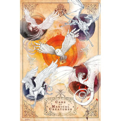 HARRY POTTER-Varázslatos lények poszter