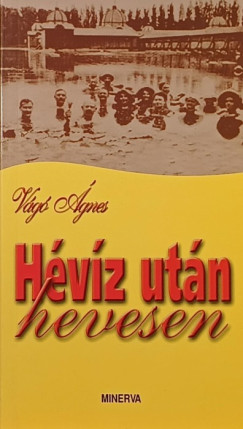 Vg gnes - Hvz utn hevesen