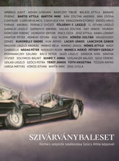 Bazsnyi Sndor   (szerk.) - Szivrvnybaleset - Kortrs szprk tallkozsa Szcs Attila kpeivel