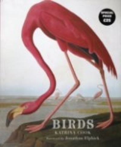 Katrina Cook - Birds