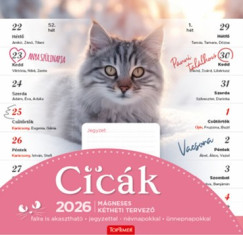 Cick - mgneses falinaptr - 22x22 cm - 2026