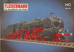 Fleischmann 2005/06