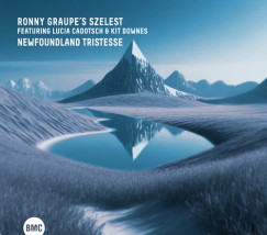 Kit Downes - Newfoundland Tristesse CD