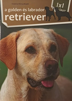 A golden és a labrador retriever