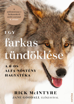 Rick McIntyre - Egy farkas tündöklése - A 6-os alfa-nőstény hagyatéka