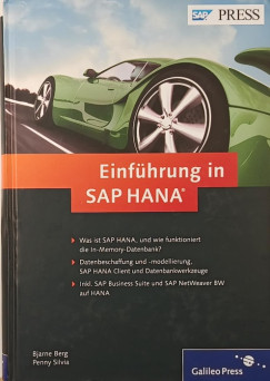 Bjarne Berg - Penny Silvia - Einführung in SAP HANA