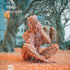 Mowgli - Guele de Boa - CD