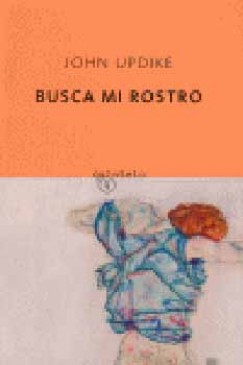 John Updike - Busca mi rostro