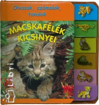 Macskaflk kicsinyei