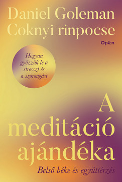 Daniel Goleman - Coknyi Rinpocse - A meditáció ajándéka