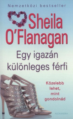 Sheila O'Flanagan - Egy igazn klnleges frfi