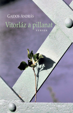 Gajdos Andrs - Vitorlz a pillanat