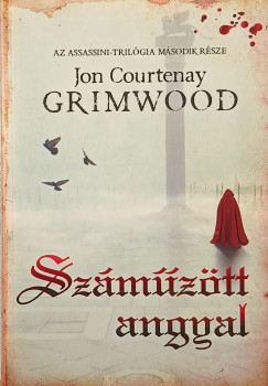 Jon Courtenay Grimwood - Szmztt angyal