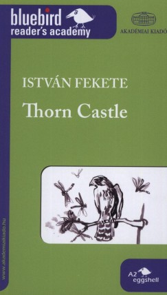 Fekete Istvn - Thorn Castle